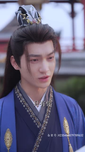 《王妃复仇记》短剧免费看