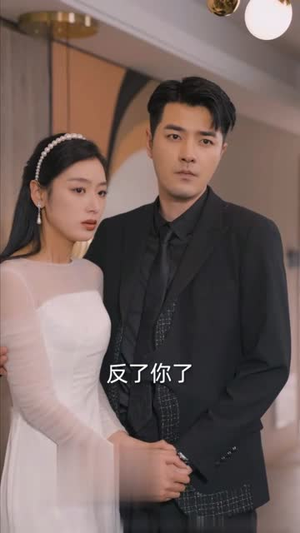 《狂飙之惹不起的奶爸》短剧在线观看