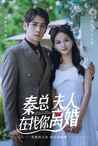 《秦总，夫人在找你离婚》短剧一口气看到大结局