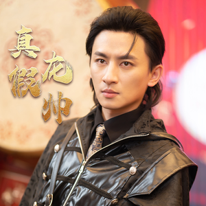 《真假龙帅》短剧直接看全集