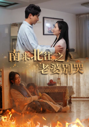 《南来北往之老婆别哭》短剧一口气看整部剧