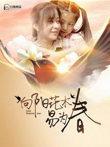 《向阳花木易为春》短剧一口气看整部剧