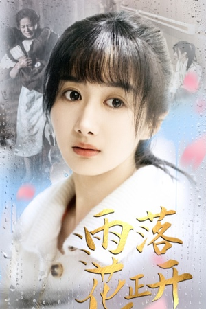 《雨落花正开》最热短剧