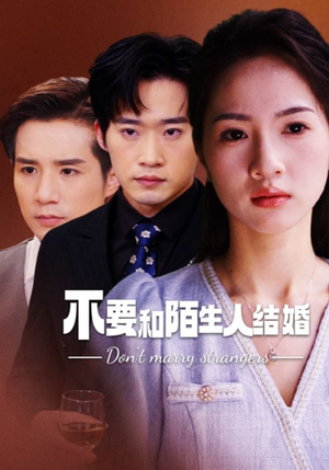 《不要和陌生人结婚》短剧一口气看到大结局