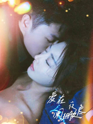《爱在夜色阑珊处》短剧免费看全集