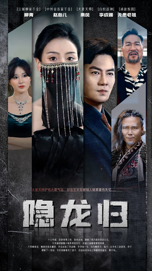《隐龙归》短剧免费全集
