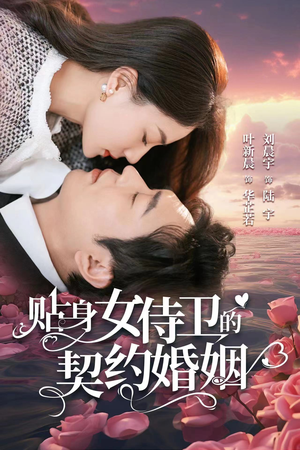 《贴身女侍卫的契约婚姻》能免费看短剧就是爽