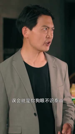 《绝品高手在都市》短剧不要会员直接看