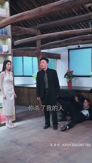 《战龙无双》短剧在线观看