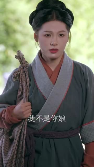 《如意芳华》短剧全集免费在线看