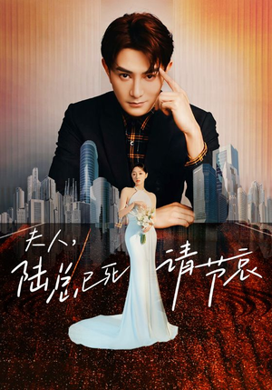 《夫人，陆总已死请节哀》短剧超清全集在线看