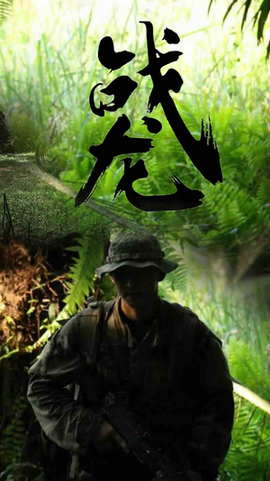 《战龙》短剧免费下载