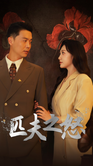 《匹夫之怒》短剧全集下载