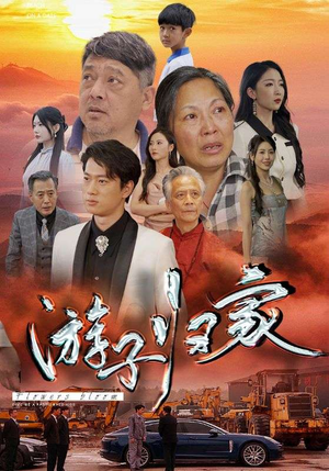 《游子归家》热门短剧直接看