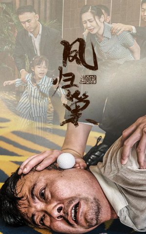 《新版：凤归巢》短剧终于能免费看了