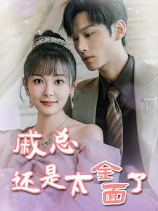 《戚总还是太全面了》最新热门短剧