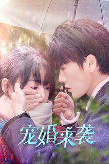《宠婚来袭》热门短剧推荐