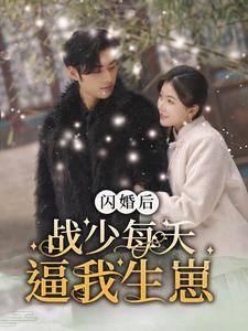 《闪婚后战少每天逼我生崽》最新热门短剧