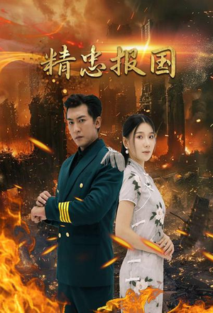 《精忠报国》最新热门短剧