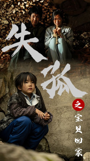 《失孤之宝贝回家》短剧完整版