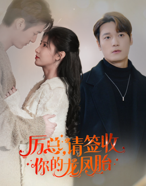 《历总，请签收你的龙凤胎》短剧在线观看