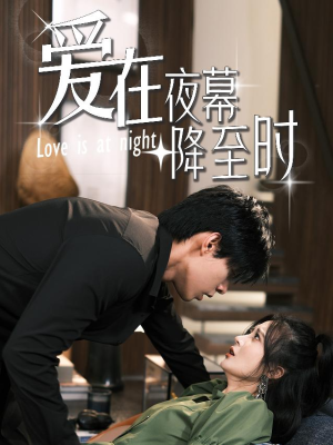 《爱在夜幕降至时》短剧已完结