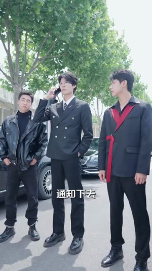 《三个哥哥送我十个男模》短剧高清全集