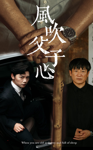 《风吹父子心》短剧免费看全集