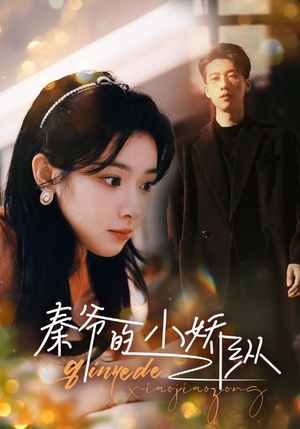 《秦爷的小娇纵》短剧全集都是高清的哦