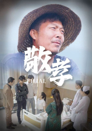 《敬孝》短剧一口气看到大结局