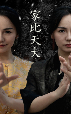 《家比天大》2025短剧排行榜