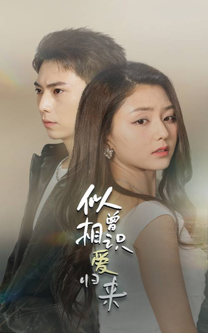 《似曾相识爱归来》可以在线看全集的短剧网