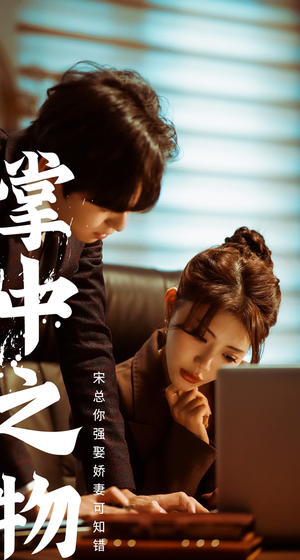 《掌中之物：宋总娶娇妻可知错》短剧已完结