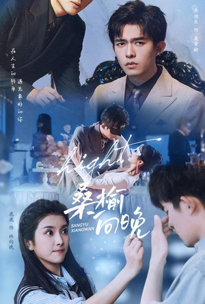 《桑榆向晚》短剧已完结
