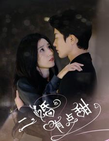 《二婚有点甜》短剧在线观看