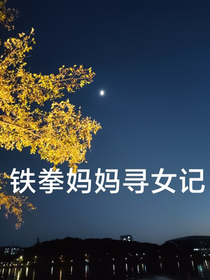 《铁拳妈妈寻女记》最新热门短剧