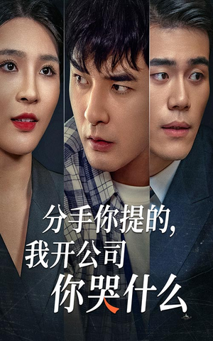 《分手你提的，我开公司你哭什么》短剧全集都是高清的