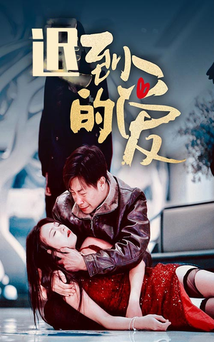 《迟到的爱》热门短剧直接看