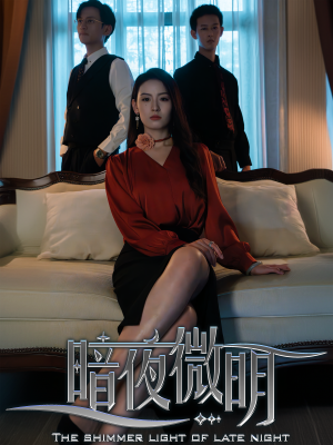 《暗夜微明》短剧在线观看