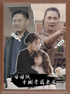 《团圆饭手撕奇葩亲戚》短剧高清看全集