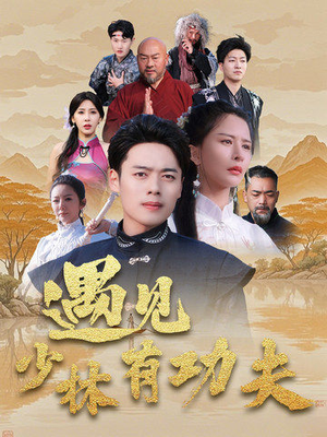 《遇见少林有功夫》短剧超清全集在线看