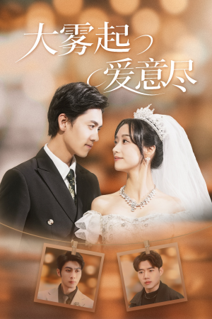《大雾起爱意尽》短剧免费看全集