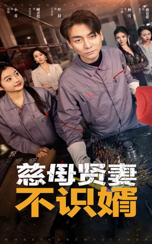 《慈母贤妻不识婿》短剧完整版