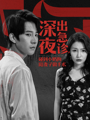 《深夜出急诊碰到小奶狗陪妻子做手术》短剧全集免费看