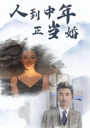 《人到中年正当婚》最热短剧