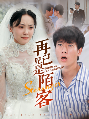 《再见已是陌客》短剧全集都是高清的哦