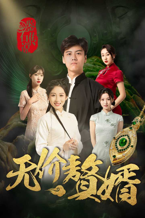 《鉴宝传说之无价赘婿》短剧全集免费看
