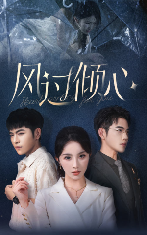 《风过倾心》短剧免费看全集