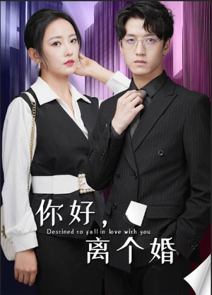 《你好，离个婚》短剧免费看全集