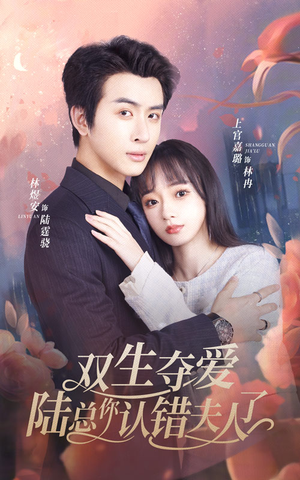 《双生夺爱陆总你认错夫人了》短剧全集在线直接看